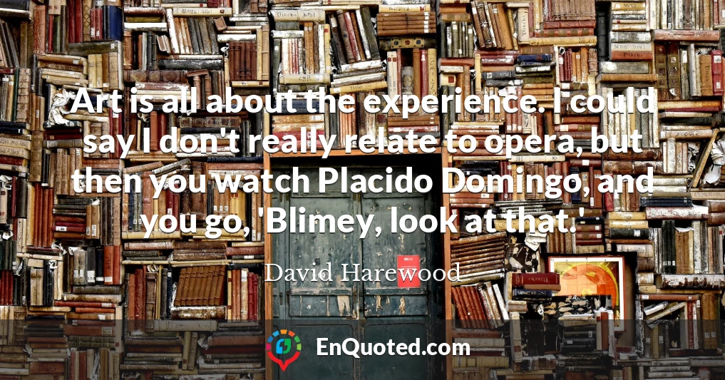 Art is all about the experience. I could say I don't really relate to opera, but then you watch Placido Domingo, and you go, 'Blimey, look at that.'