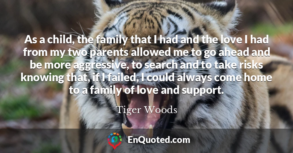 As a child, the family that I had and the love I had from my two parents allowed me to go ahead and be more aggressive, to search and to take risks knowing that, if I failed, I could always come home to a family of love and support.