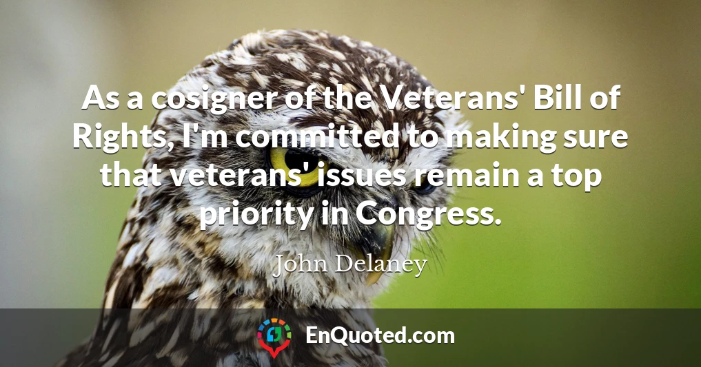 As a cosigner of the Veterans' Bill of Rights, I'm committed to making sure that veterans' issues remain a top priority in Congress.