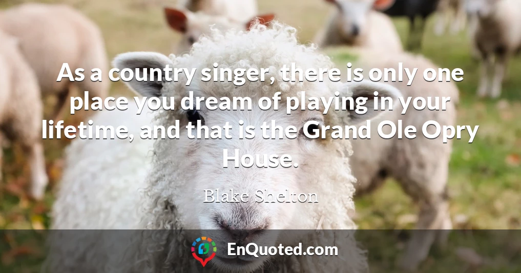 As a country singer, there is only one place you dream of playing in your lifetime, and that is the Grand Ole Opry House.
