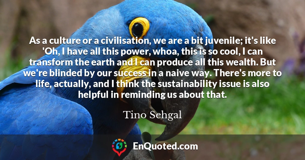 As a culture or a civilisation, we are a bit juvenile; it's like 'Oh, I have all this power, whoa, this is so cool, I can transform the earth and I can produce all this wealth. But we're blinded by our success in a naive way. There's more to life, actually, and I think the sustainability issue is also helpful in reminding us about that.