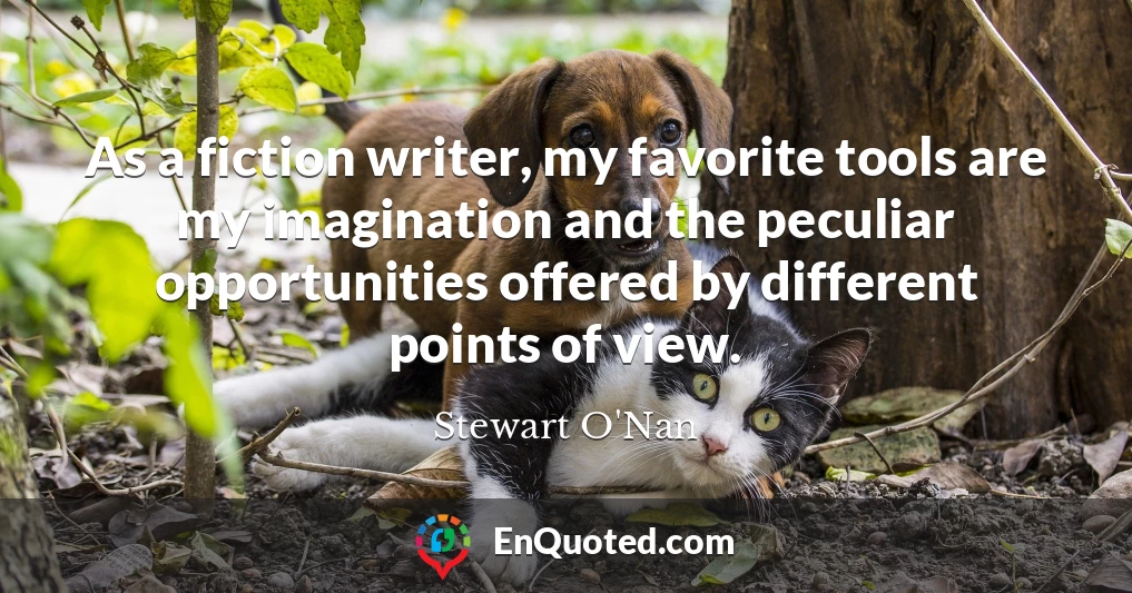 As a fiction writer, my favorite tools are my imagination and the peculiar opportunities offered by different points of view.