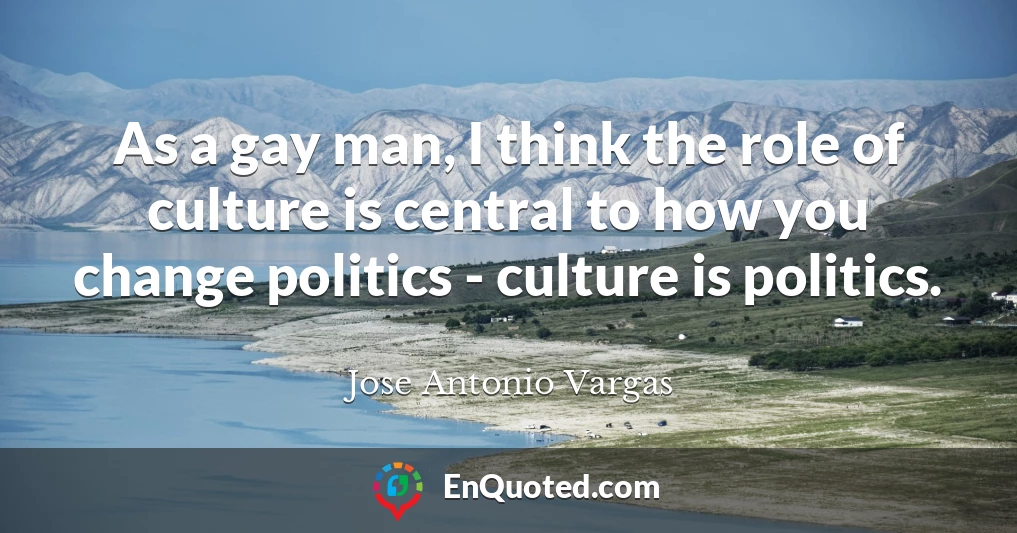 As a gay man, I think the role of culture is central to how you change politics - culture is politics.
