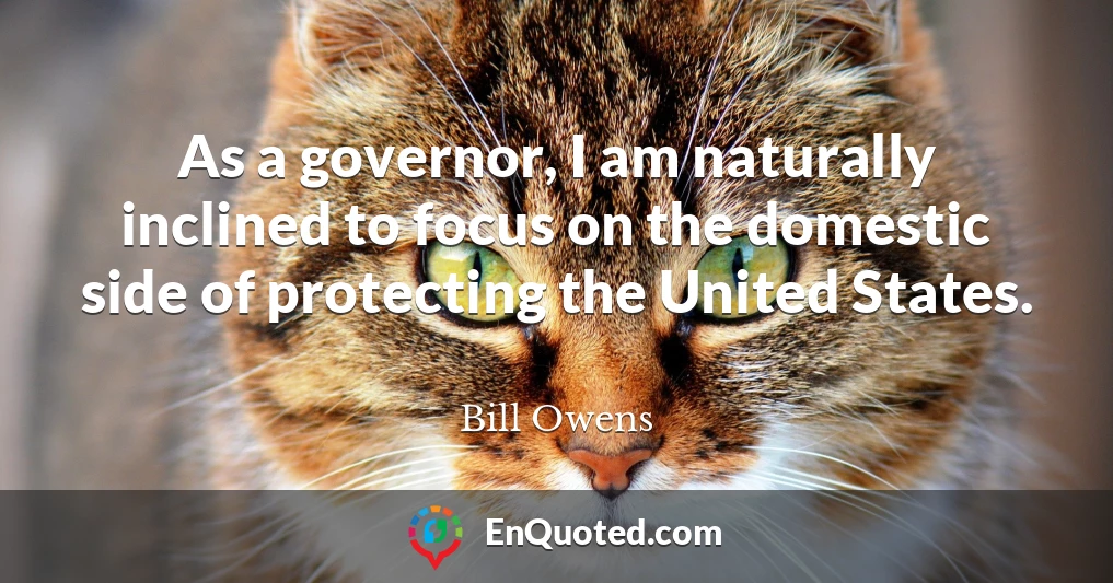 As a governor, I am naturally inclined to focus on the domestic side of protecting the United States.