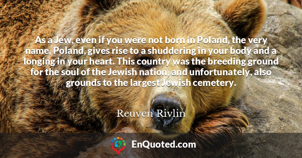 As a Jew, even if you were not born in Poland, the very name, Poland, gives rise to a shuddering in your body and a longing in your heart. This country was the breeding ground for the soul of the Jewish nation, and unfortunately, also grounds to the largest Jewish cemetery.