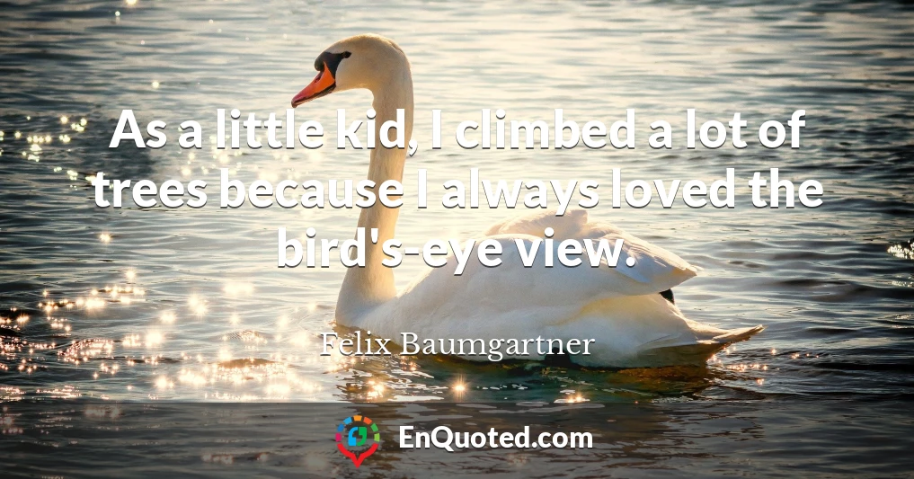 As a little kid, I climbed a lot of trees because I always loved the bird's-eye view.