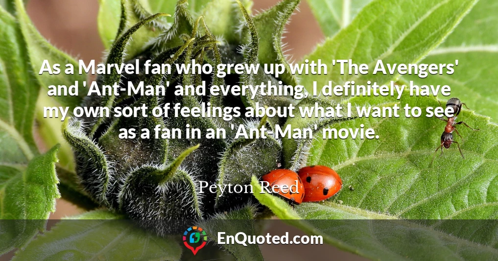 As a Marvel fan who grew up with 'The Avengers' and 'Ant-Man' and everything, I definitely have my own sort of feelings about what I want to see as a fan in an 'Ant-Man' movie.