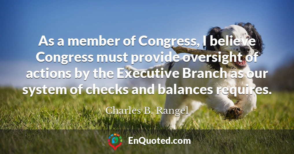 As a member of Congress, I believe Congress must provide oversight of actions by the Executive Branch as our system of checks and balances requires.