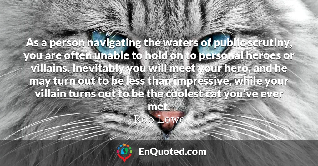 As a person navigating the waters of public scrutiny, you are often unable to hold on to personal heroes or villains. Inevitably you will meet your hero, and he may turn out to be less than impressive, while your villain turns out to be the coolest cat you've ever met.