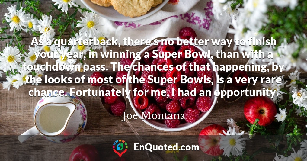 As a quarterback, there's no better way to finish your year, in winning a Super Bowl, than with a touchdown pass. The chances of that happening, by the looks of most of the Super Bowls, is a very rare chance. Fortunately for me, I had an opportunity.