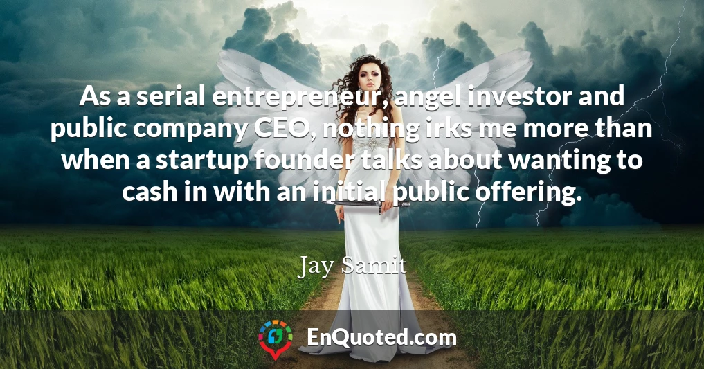 As a serial entrepreneur, angel investor and public company CEO, nothing irks me more than when a startup founder talks about wanting to cash in with an initial public offering.