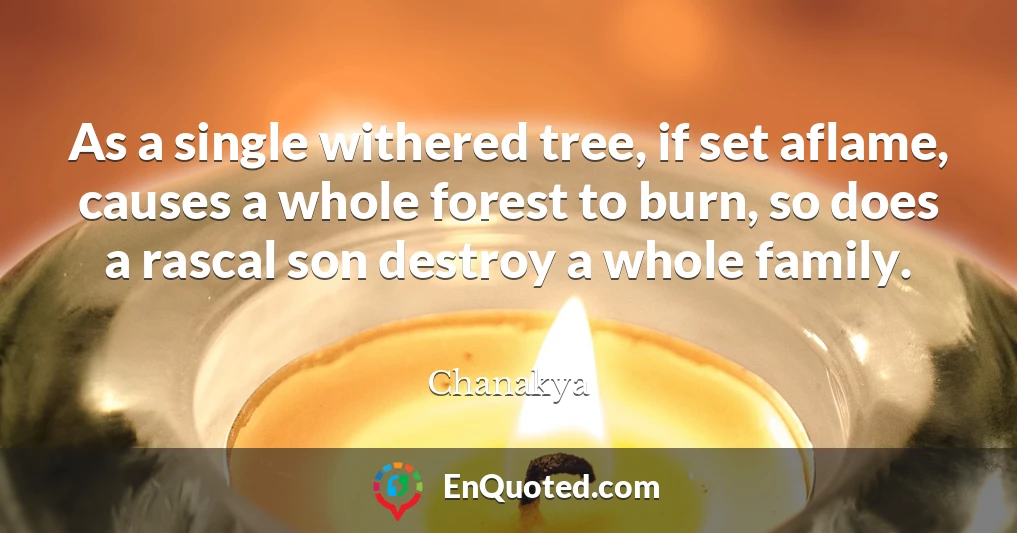 As a single withered tree, if set aflame, causes a whole forest to burn, so does a rascal son destroy a whole family.