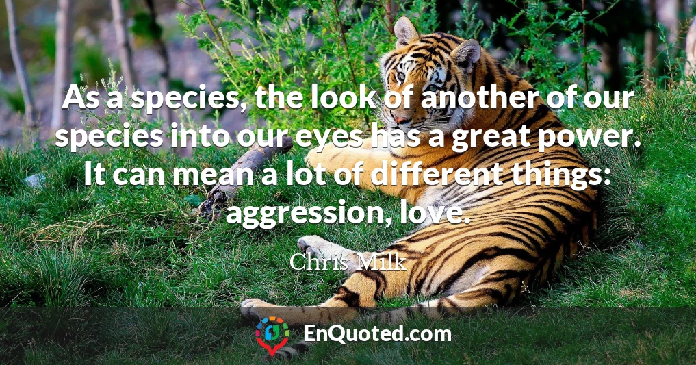 As a species, the look of another of our species into our eyes has a great power. It can mean a lot of different things: aggression, love.