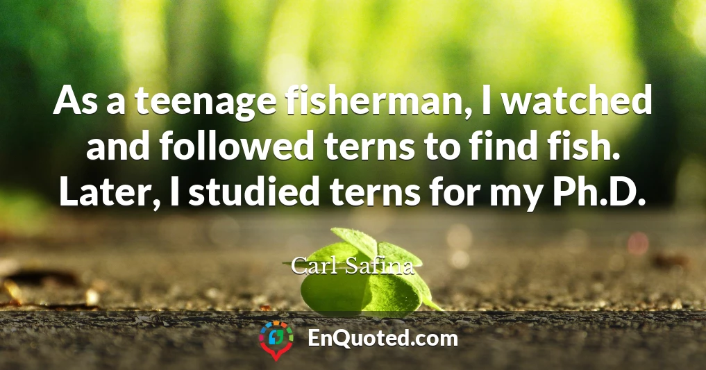 As a teenage fisherman, I watched and followed terns to find fish. Later, I studied terns for my Ph.D.