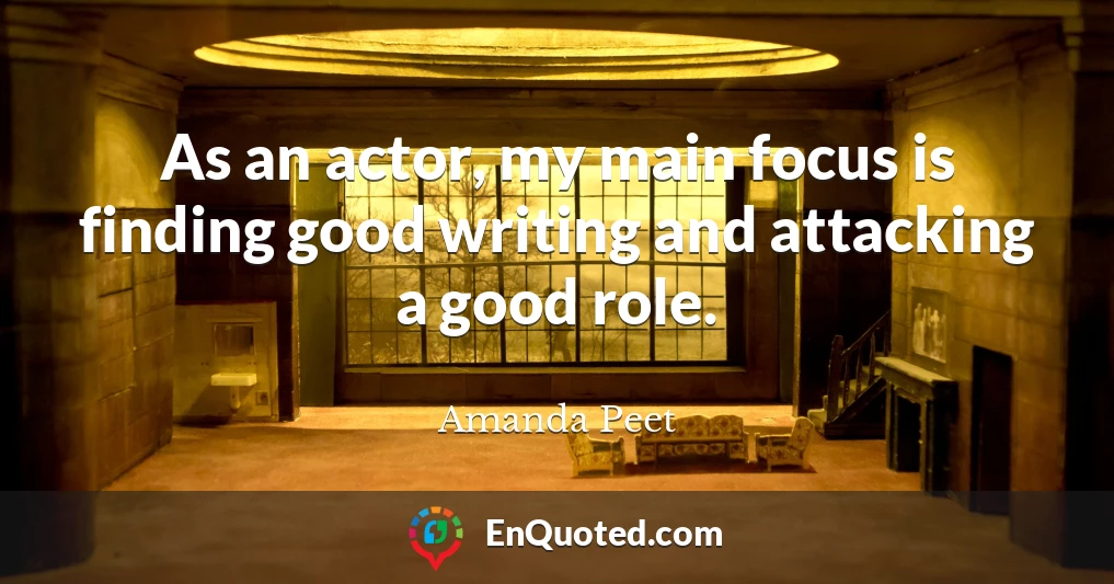 As an actor, my main focus is finding good writing and attacking a good role.