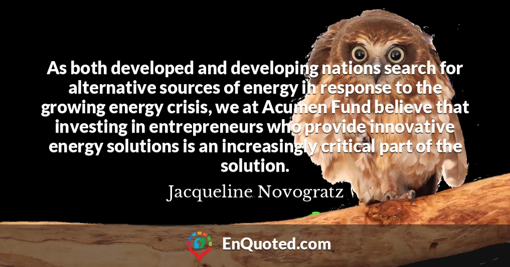 As both developed and developing nations search for alternative sources of energy in response to the growing energy crisis, we at Acumen Fund believe that investing in entrepreneurs who provide innovative energy solutions is an increasingly critical part of the solution.
