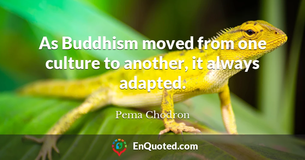 As Buddhism moved from one culture to another, it always adapted.