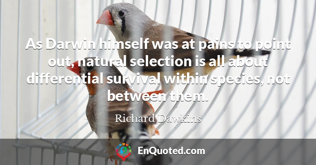 As Darwin himself was at pains to point out, natural selection is all about differential survival within species, not between them.
