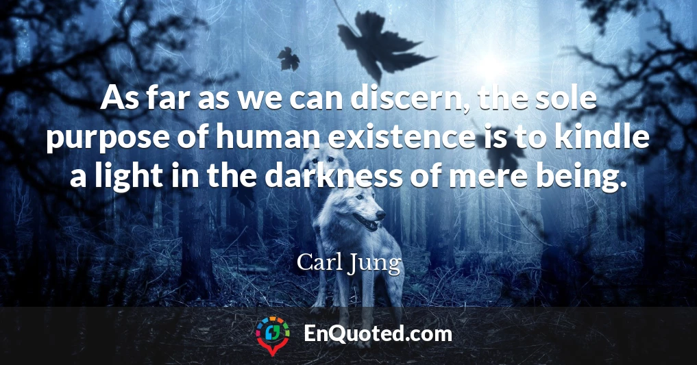 As far as we can discern, the sole purpose of human existence is to kindle a light in the darkness of mere being.