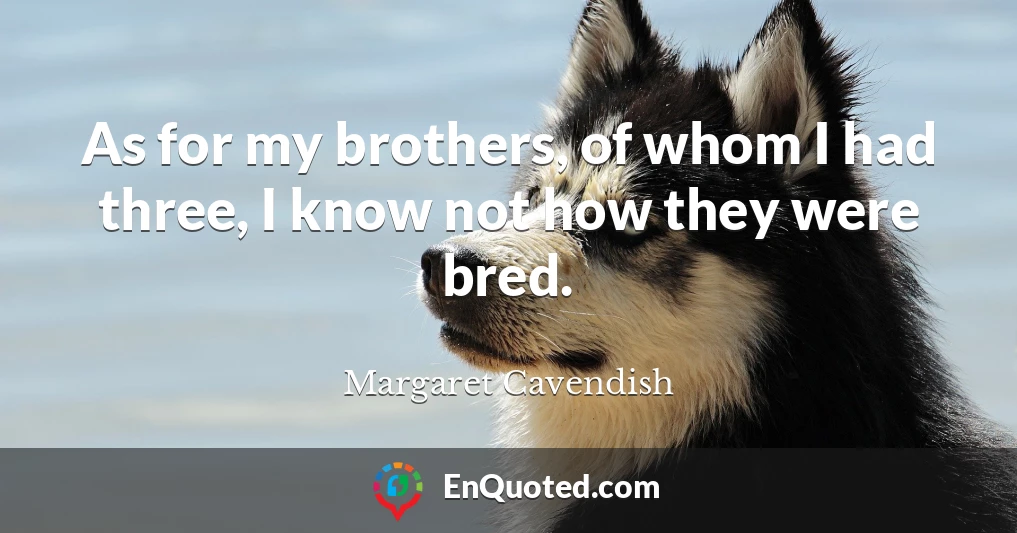 As for my brothers, of whom I had three, I know not how they were bred.
