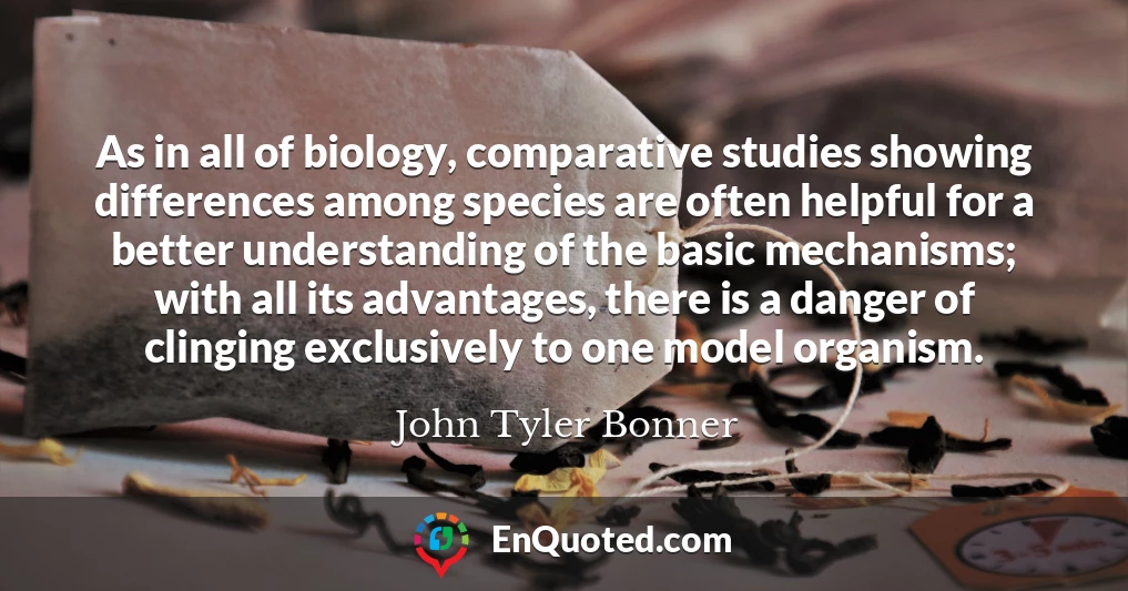 As in all of biology, comparative studies showing differences among species are often helpful for a better understanding of the basic mechanisms; with all its advantages, there is a danger of clinging exclusively to one model organism.