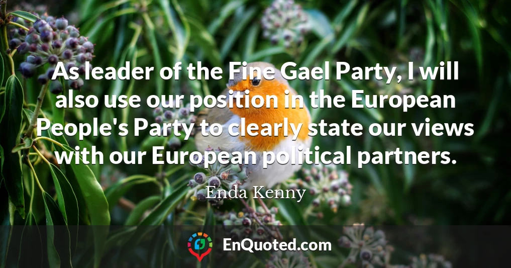 As leader of the Fine Gael Party, I will also use our position in the European People's Party to clearly state our views with our European political partners.