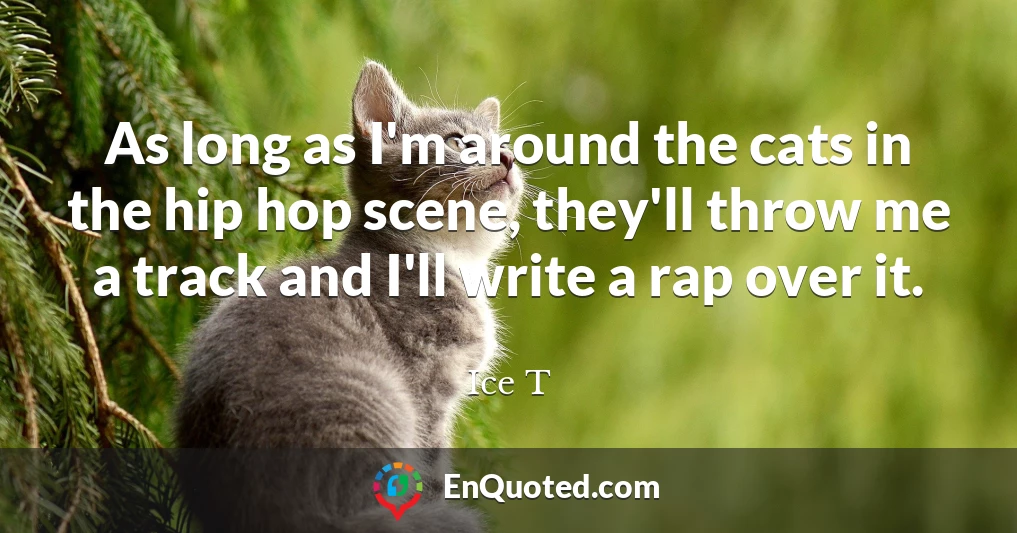 As long as I'm around the cats in the hip hop scene, they'll throw me a track and I'll write a rap over it.