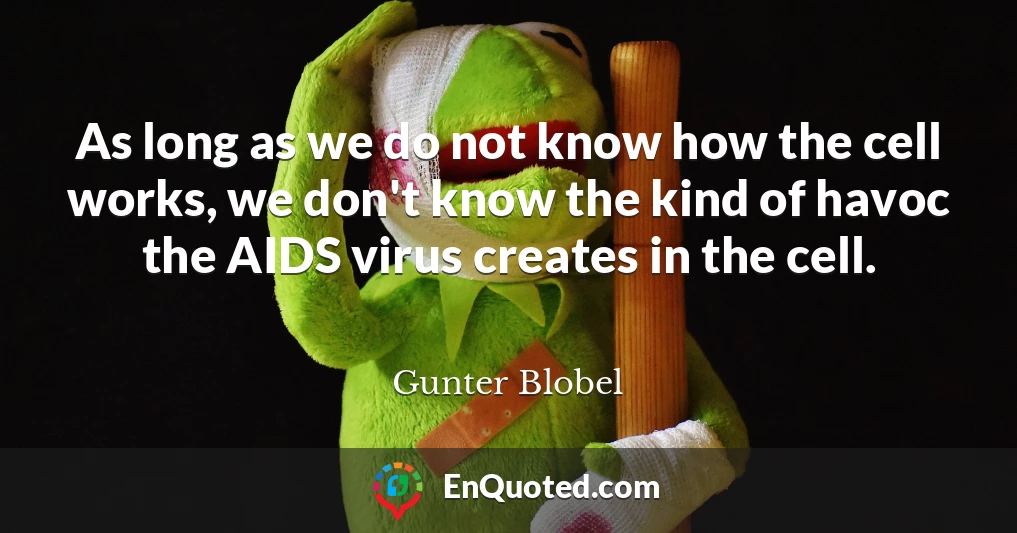 As long as we do not know how the cell works, we don't know the kind of havoc the AIDS virus creates in the cell.