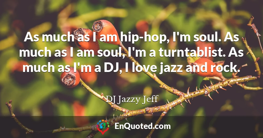 As much as I am hip-hop, I'm soul. As much as I am soul, I'm a turntablist. As much as I'm a DJ, I love jazz and rock.
