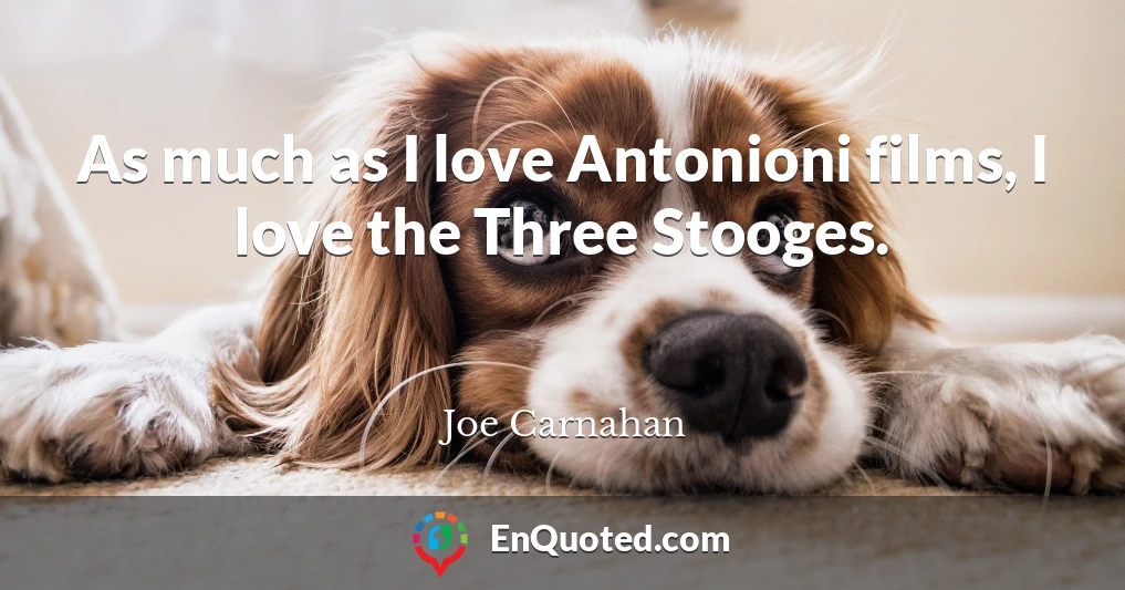 As much as I love Antonioni films, I love the Three Stooges.