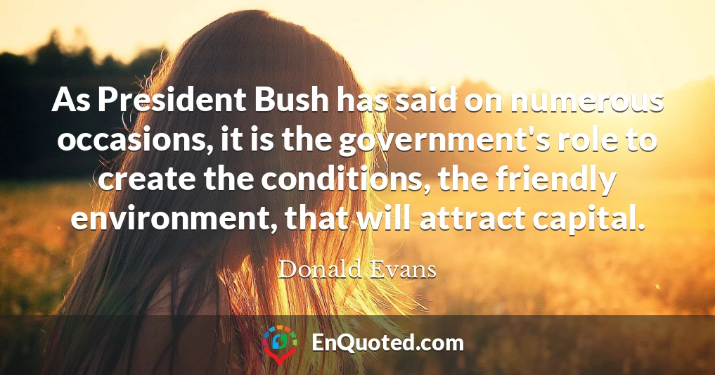 As President Bush has said on numerous occasions, it is the government's role to create the conditions, the friendly environment, that will attract capital.