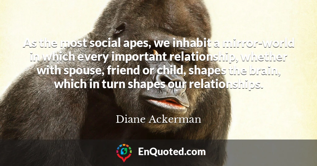 As the most social apes, we inhabit a mirror-world in which every important relationship, whether with spouse, friend or child, shapes the brain, which in turn shapes our relationships.