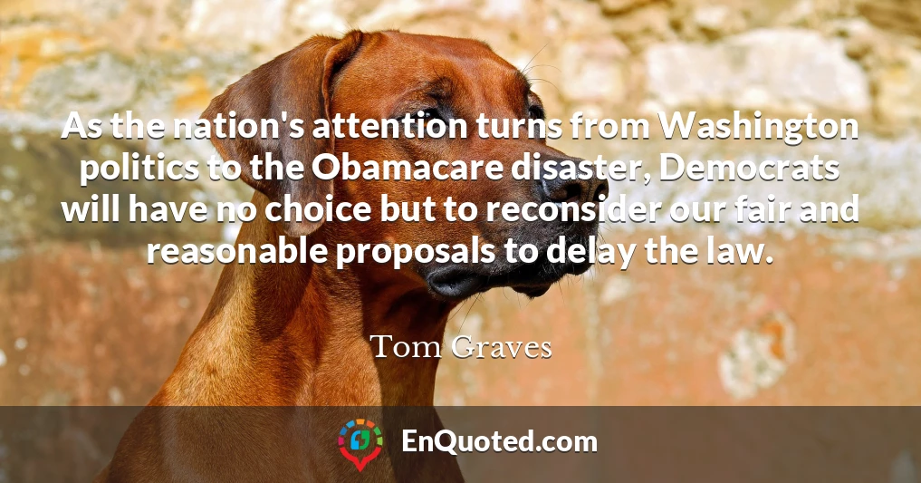 As the nation's attention turns from Washington politics to the Obamacare disaster, Democrats will have no choice but to reconsider our fair and reasonable proposals to delay the law.