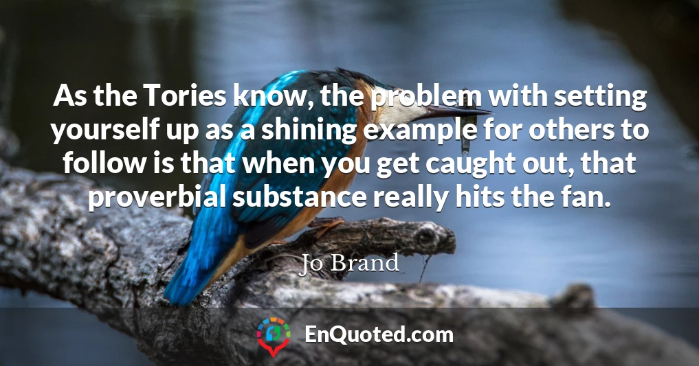 As the Tories know, the problem with setting yourself up as a shining example for others to follow is that when you get caught out, that proverbial substance really hits the fan.