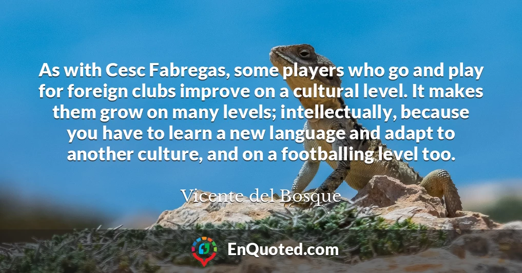 As with Cesc Fabregas, some players who go and play for foreign clubs improve on a cultural level. It makes them grow on many levels; intellectually, because you have to learn a new language and adapt to another culture, and on a footballing level too.