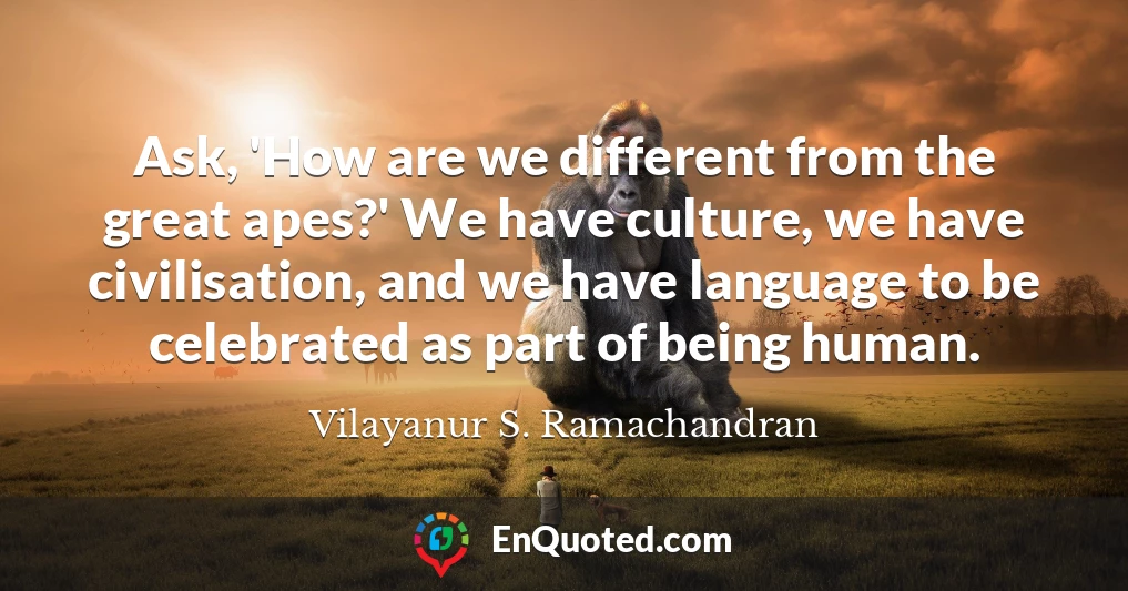 Ask, 'How are we different from the great apes?' We have culture, we have civilisation, and we have language to be celebrated as part of being human.