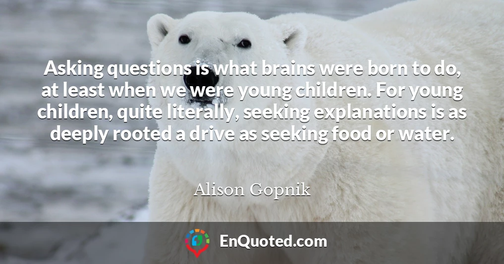 Asking questions is what brains were born to do, at least when we were young children. For young children, quite literally, seeking explanations is as deeply rooted a drive as seeking food or water.