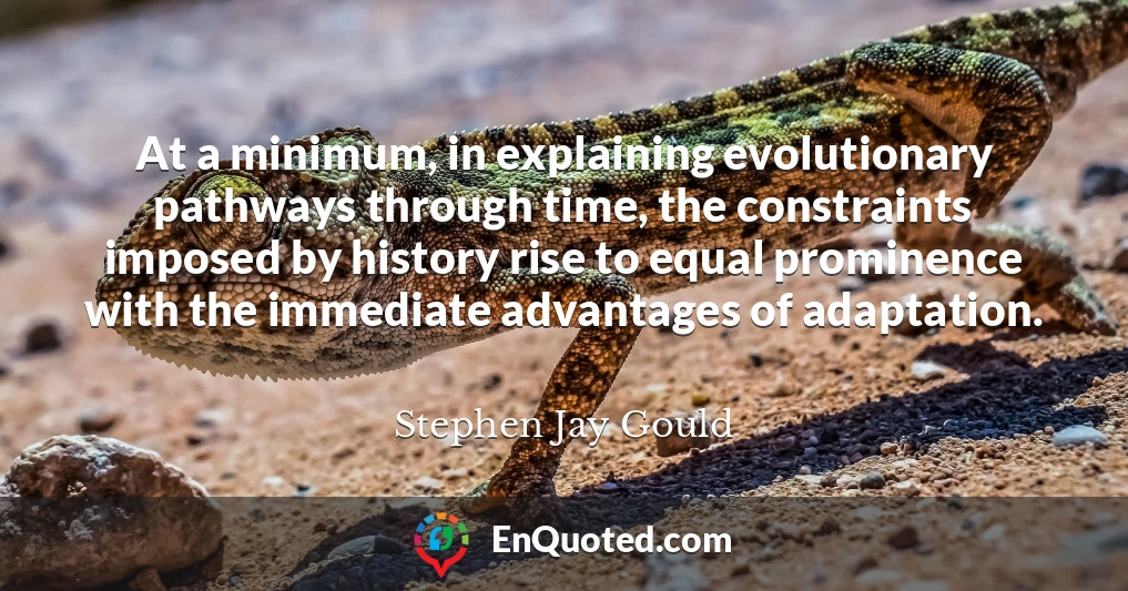 At a minimum, in explaining evolutionary pathways through time, the constraints imposed by history rise to equal prominence with the immediate advantages of adaptation.