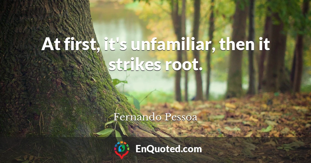 At first, it's unfamiliar, then it strikes root.