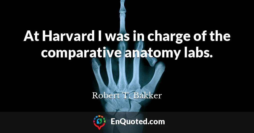 At Harvard I was in charge of the comparative anatomy labs.