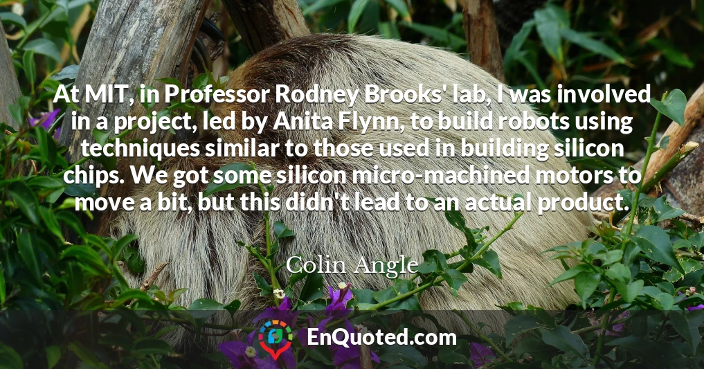 At MIT, in Professor Rodney Brooks' lab, I was involved in a project, led by Anita Flynn, to build robots using techniques similar to those used in building silicon chips. We got some silicon micro-machined motors to move a bit, but this didn't lead to an actual product.