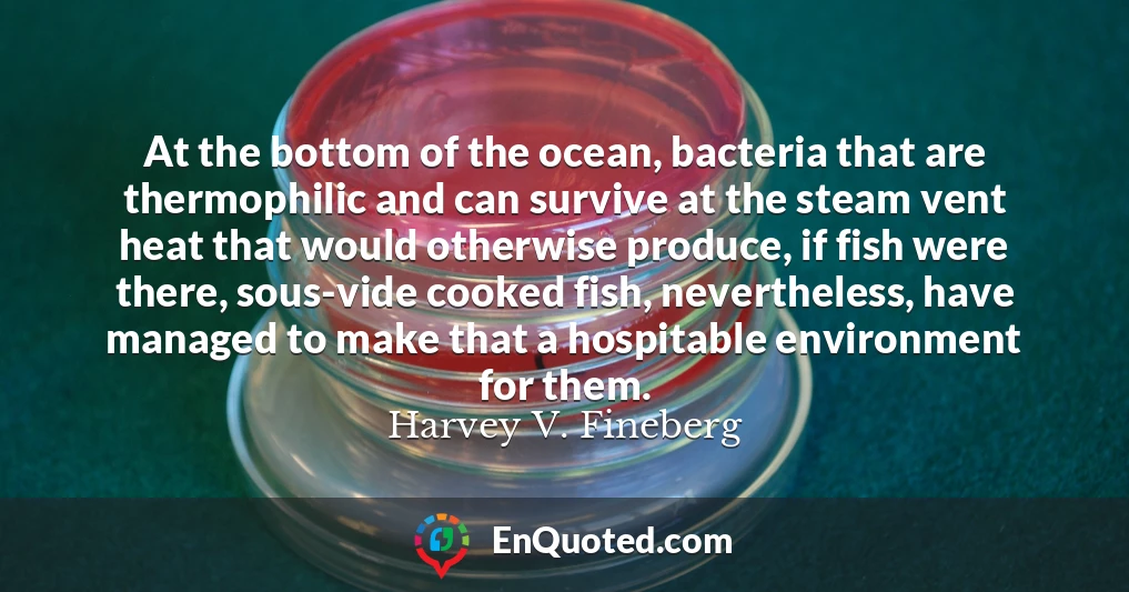 At the bottom of the ocean, bacteria that are thermophilic and can survive at the steam vent heat that would otherwise produce, if fish were there, sous-vide cooked fish, nevertheless, have managed to make that a hospitable environment for them.