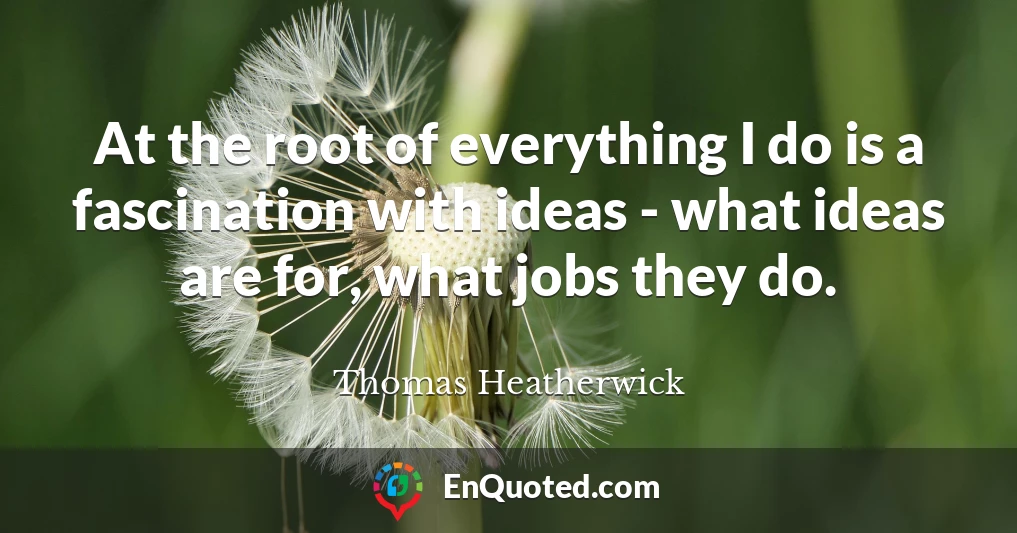 At the root of everything I do is a fascination with ideas - what ideas are for, what jobs they do.