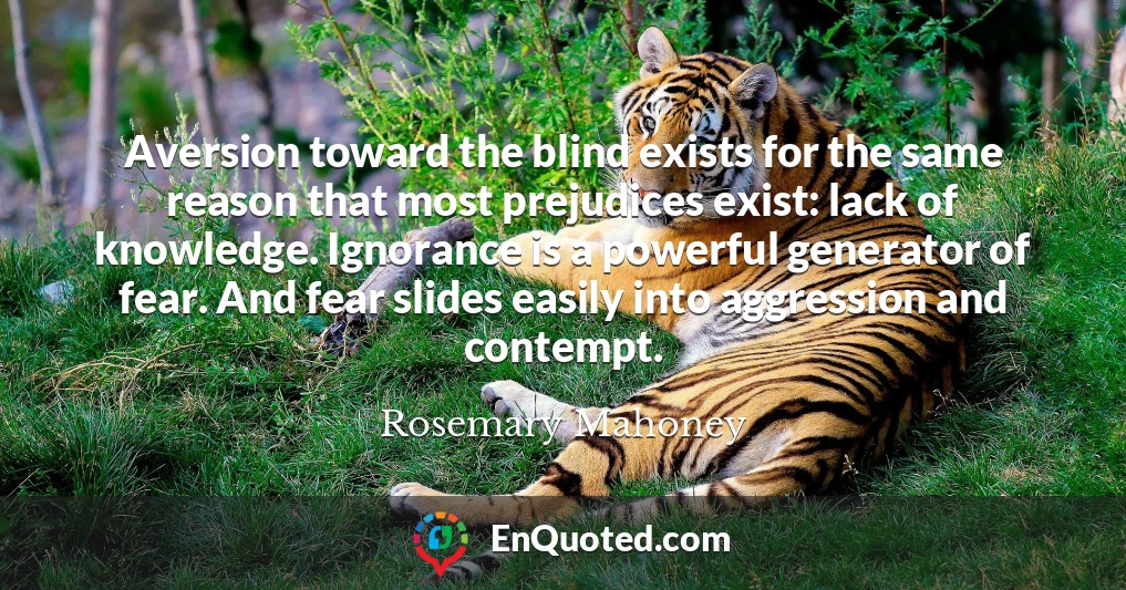 Aversion toward the blind exists for the same reason that most prejudices exist: lack of knowledge. Ignorance is a powerful generator of fear. And fear slides easily into aggression and contempt.