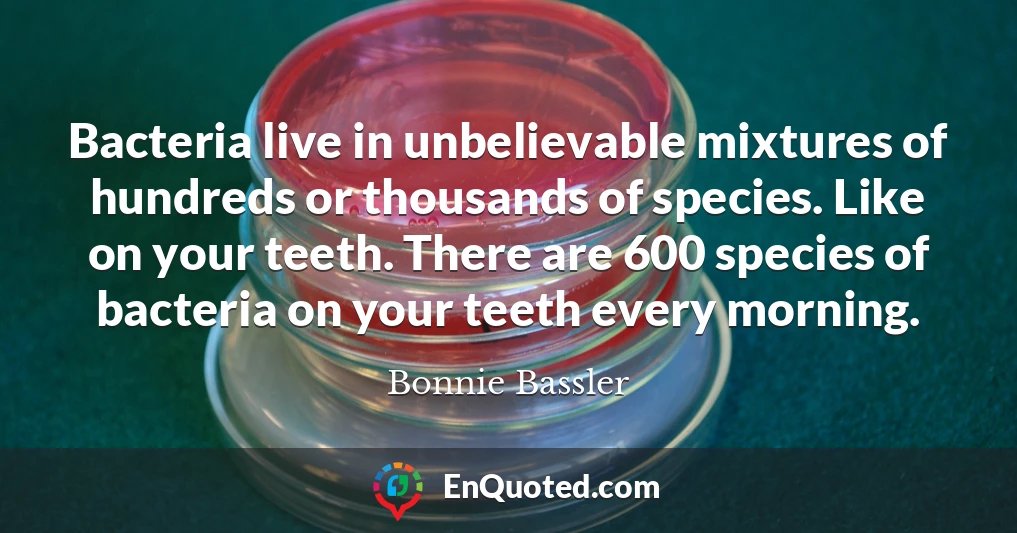 Bacteria live in unbelievable mixtures of hundreds or thousands of species. Like on your teeth. There are 600 species of bacteria on your teeth every morning.