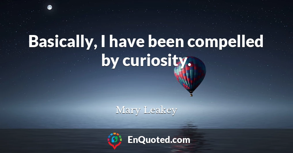 Basically, I have been compelled by curiosity.