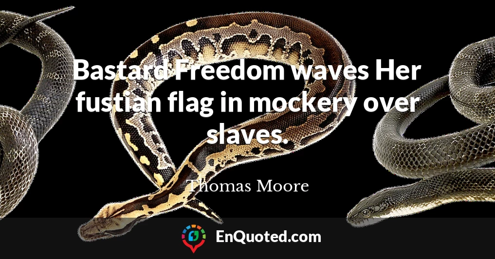 Bastard Freedom waves Her fustian flag in mockery over slaves.
