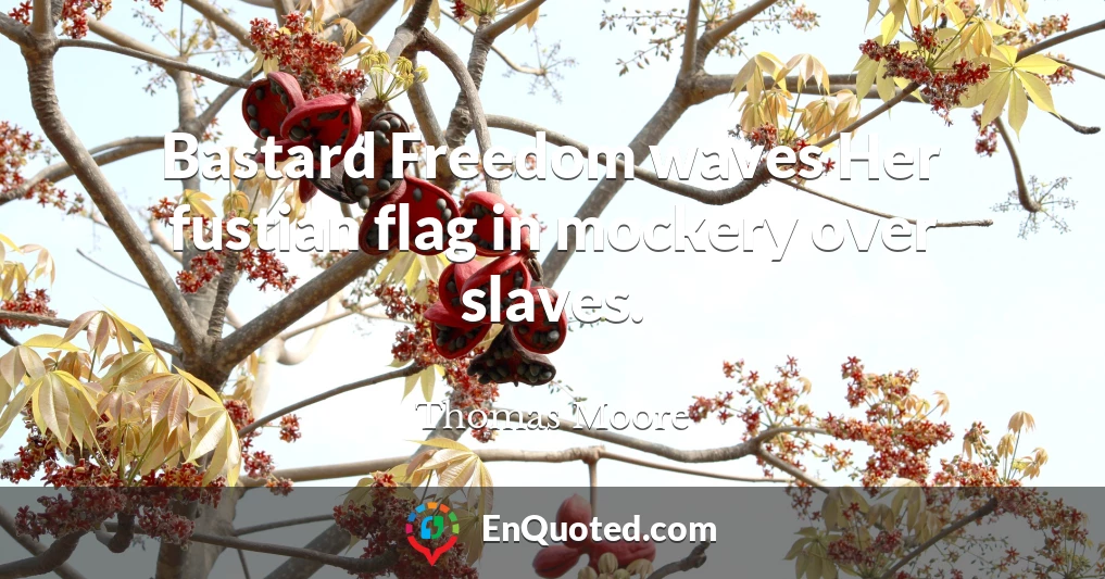 Bastard Freedom waves Her fustian flag in mockery over slaves.