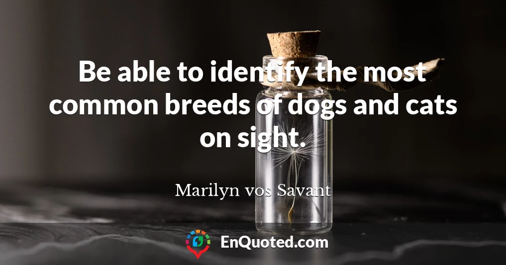Be able to identify the most common breeds of dogs and cats on sight.