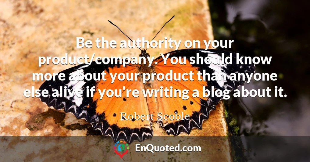 Be the authority on your product/company. You should know more about your product than anyone else alive if you're writing a blog about it.